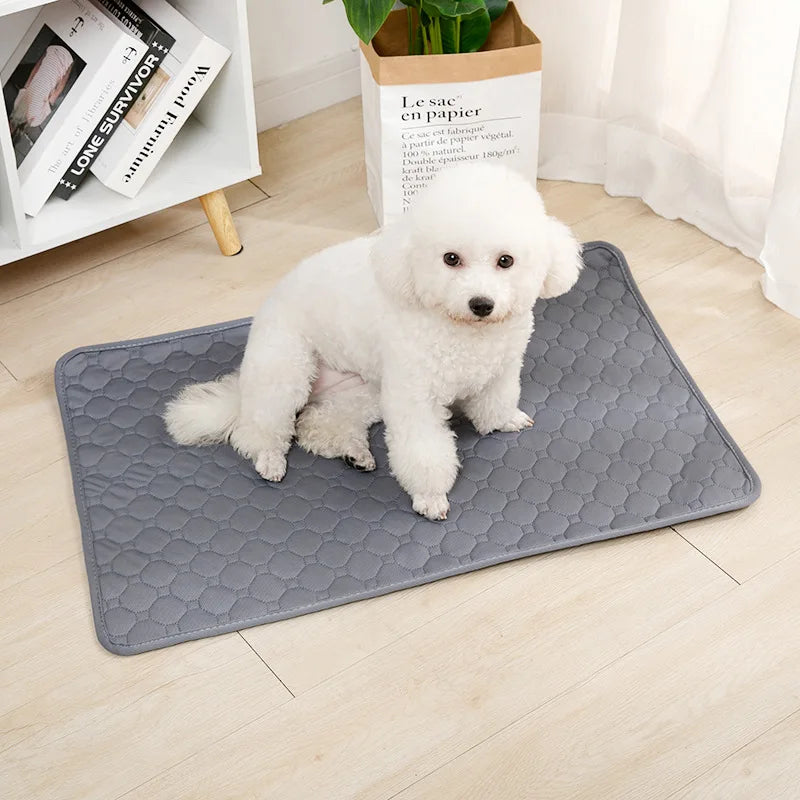 Tapete Absorbente Lavable y Reutilizable para Mascotas